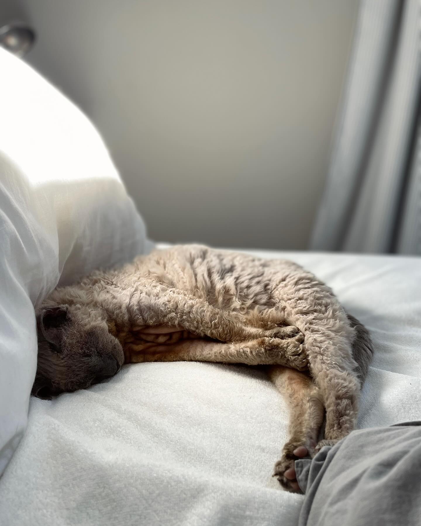 Saying goodbye is often the hardest thing to do. After 19 amazing, cheeky, feisty and utterly...